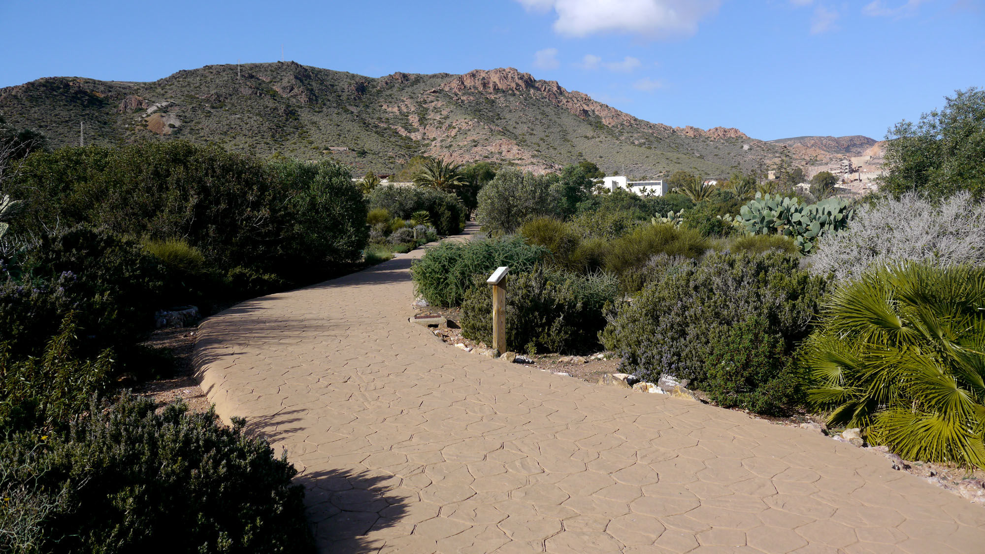 el Jardín Botánico Albardinal