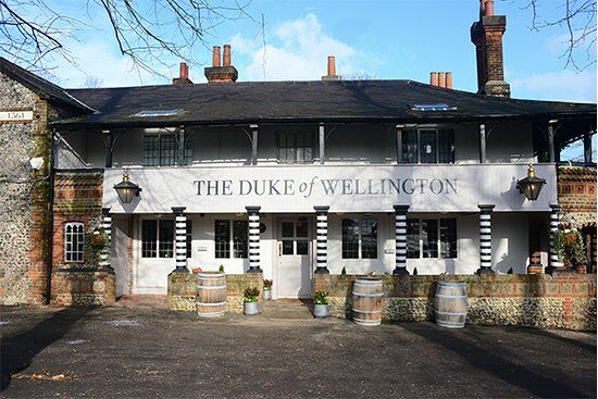 The Duke of Wellington