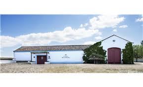 Reynolds Wine Growers SA
