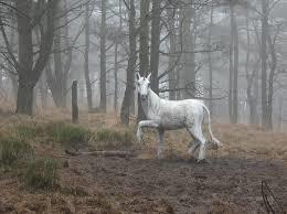 Pendle Sculpture Trail