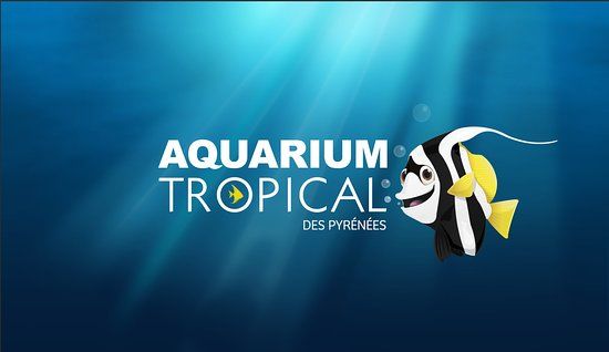 Aquarium tropical des Pyrenees