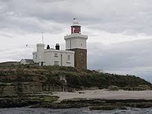 Coquet Island