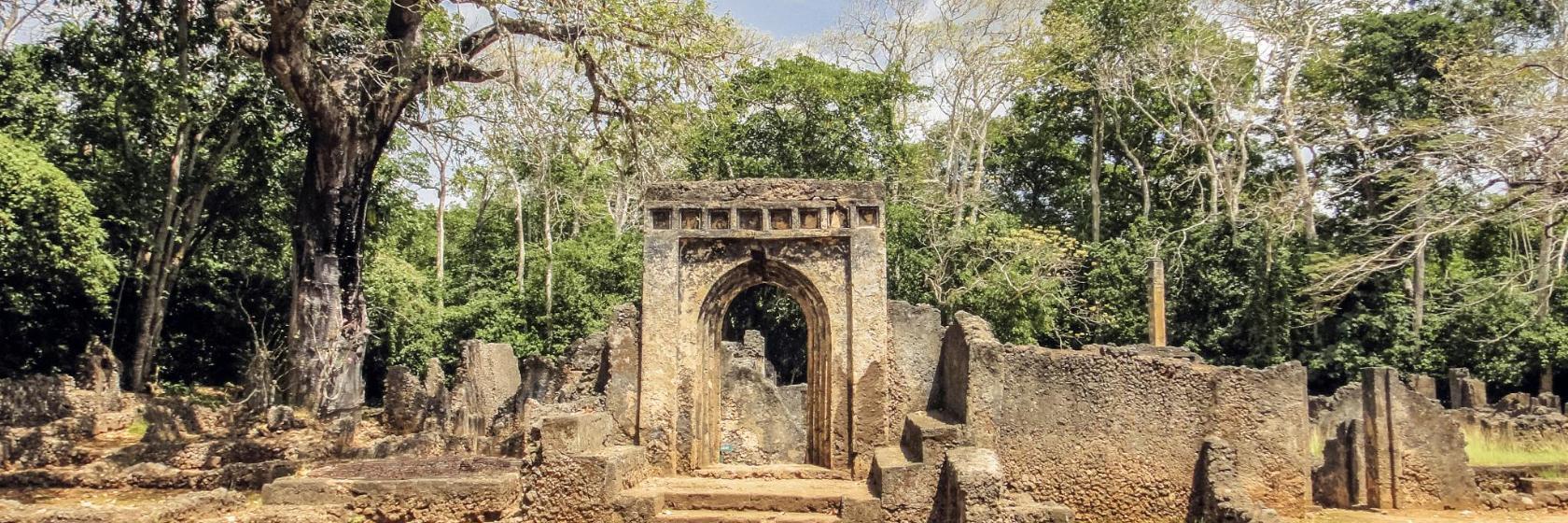 Ruins of Gedi