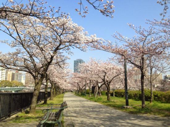 Kema Sakuranomiya Park