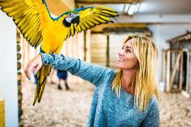 Najwieksza Papugarnia Egzotyczne Zakopane