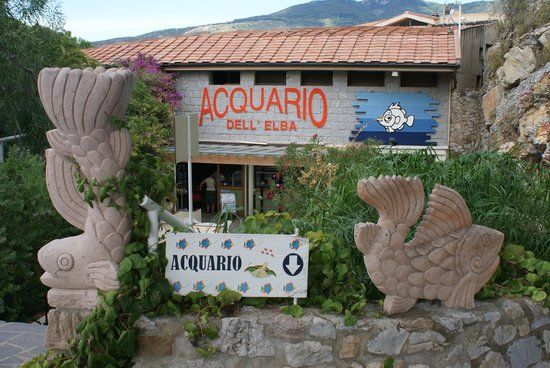 Aquarium of Elba