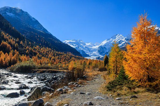 Morteratschgletscher