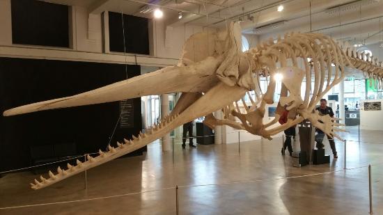 Brabant Nature Museum