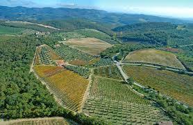 Azienda Agraria Casanuova di Ama
