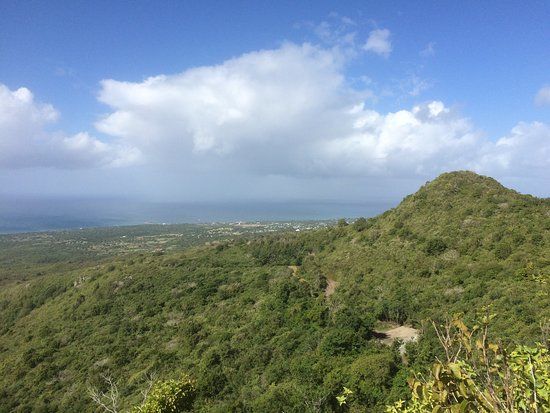 Nelson's Lookout