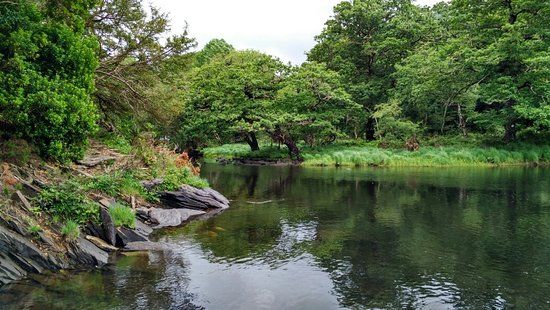 Avoca