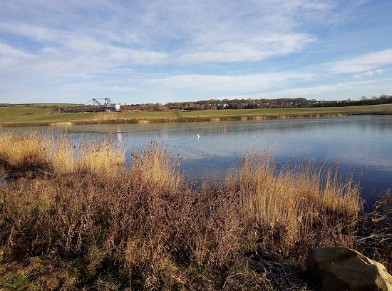 RSPB St Aidan's Nature Park