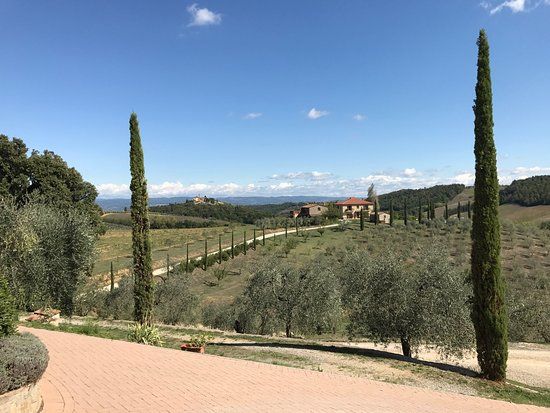 Fattoria Voltrona