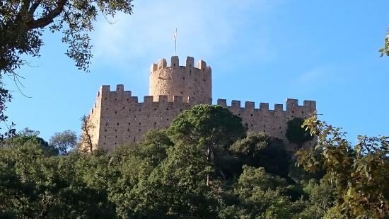 Castell de Farners