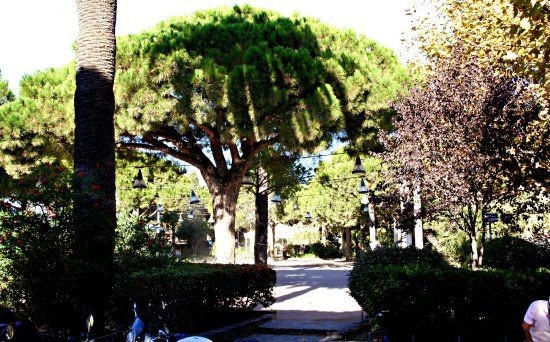 Promenade Aymeric Simon Loriere