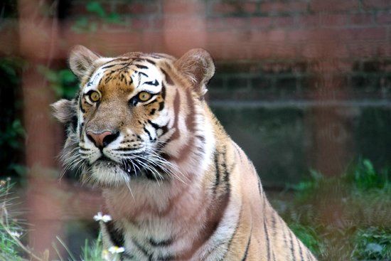 Guldborgsund Zoo & Botanisk Have