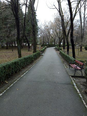 Liberty Park