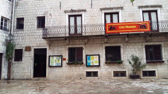 Kotor Cats Museum