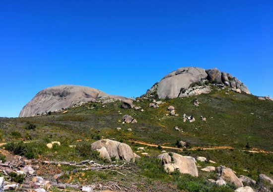 Paarl Mountain Nature Reserve