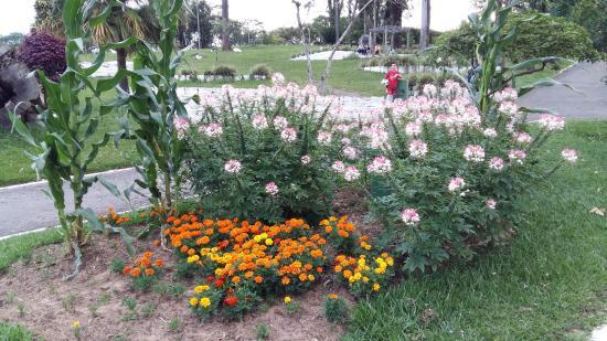 Parque Centenario Municipal Erni Carlos Heller