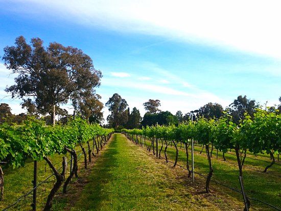 Murrumbateman Winery