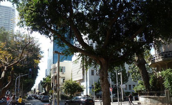 Rothschild Boulevard