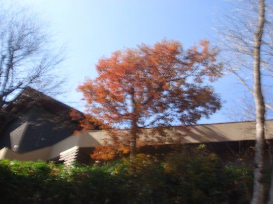 Tenichi Art Museum