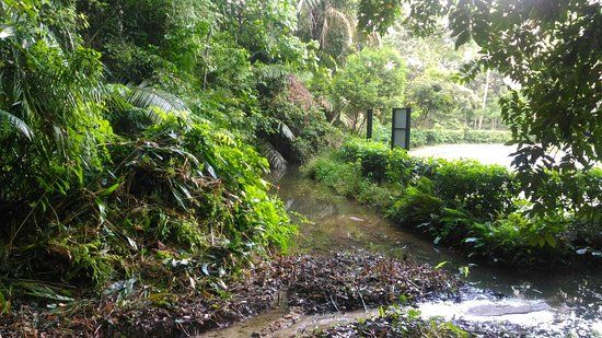 Soga Perdana Amenity Forest