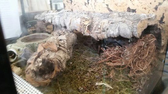 Children's and Young People's Museum