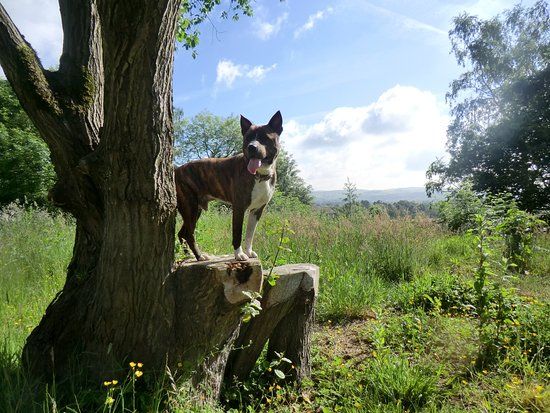 Bleakholt Animal Sanctuary