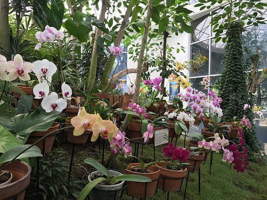 Orquidario
