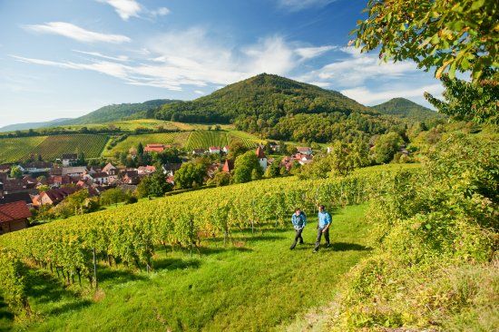 Nationalpark Eifel