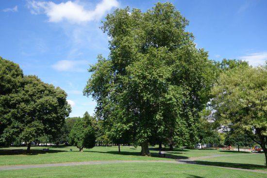 Jardin des Alées