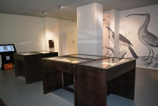 Musée Médard