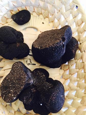 La Truffe en Perigord