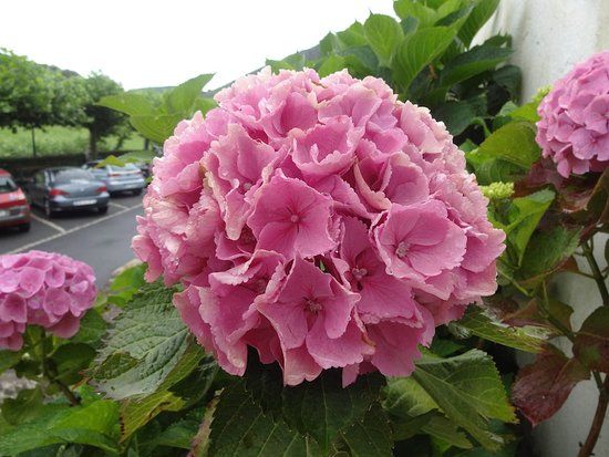 Eglise Saint-Martin de Biriatou