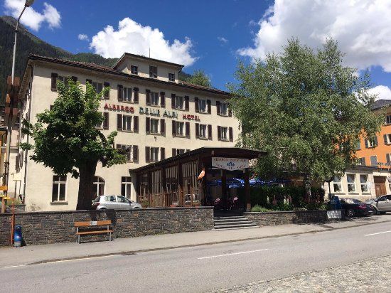 Hotel des Alpes