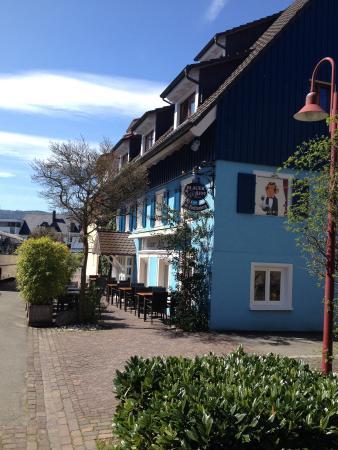 Blauer Affe