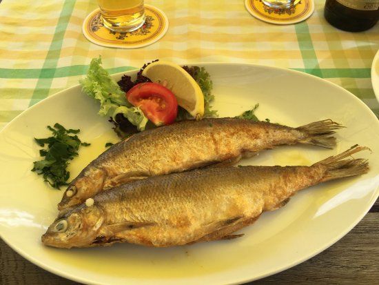 Unterbräu