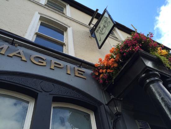 The Magpie