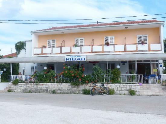 Ribar