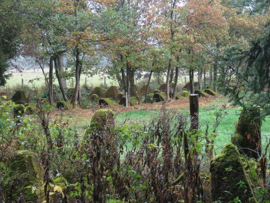 Siegfried Line