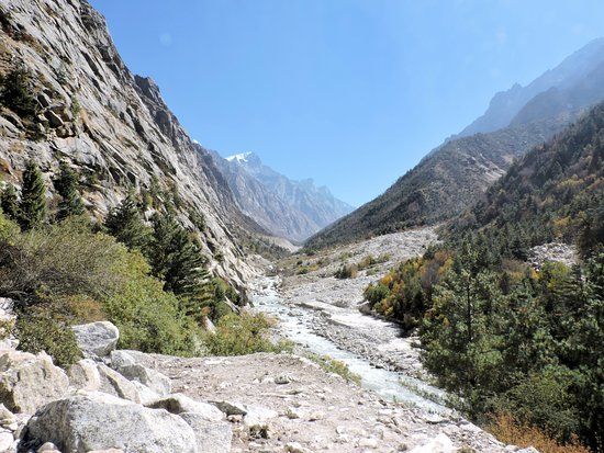 Gangotri National Park