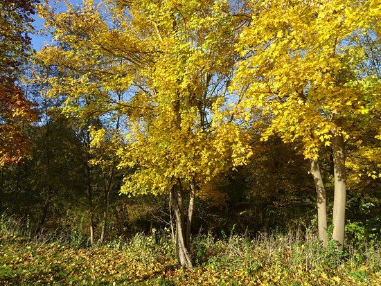 South Park Ahoy