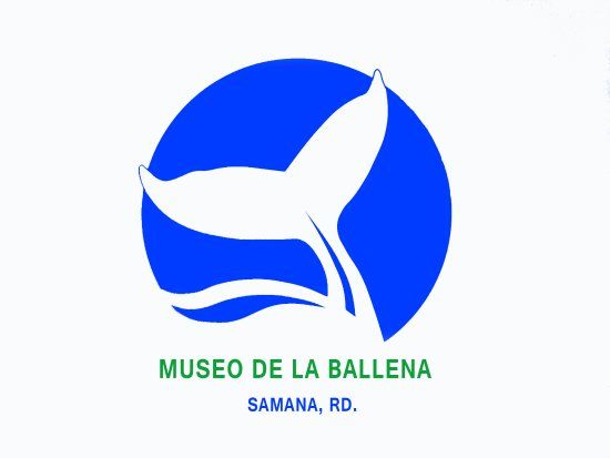 Whale Museum of Samana