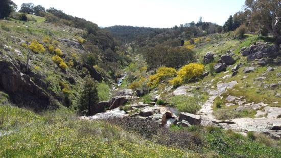 Newtown Falls and Newtown Bridge