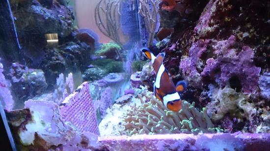 Marine Discovery Centre