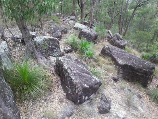 Springwood Conservation Park