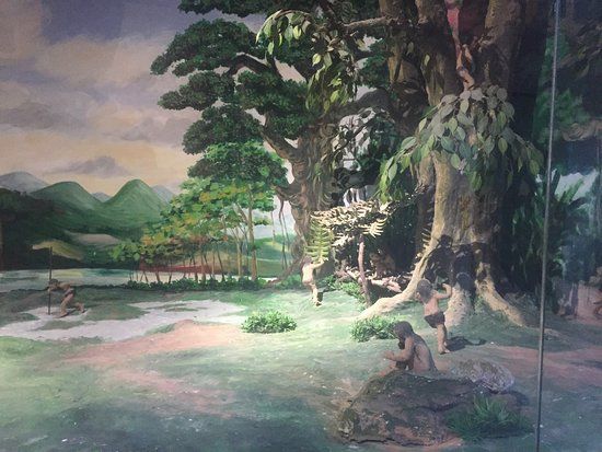 Kon Tum Museum