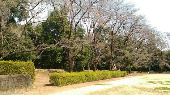 Shiroyama Park